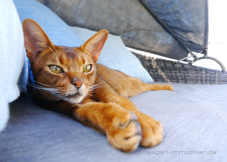 Perfekt zum Chillen | Verkauf Wohnung - München Nymphenburg